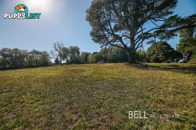 31 Avon Road AVONSLEIGH VIC 3782