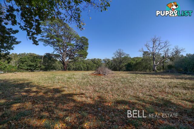 31 Avon Road AVONSLEIGH VIC 3782
