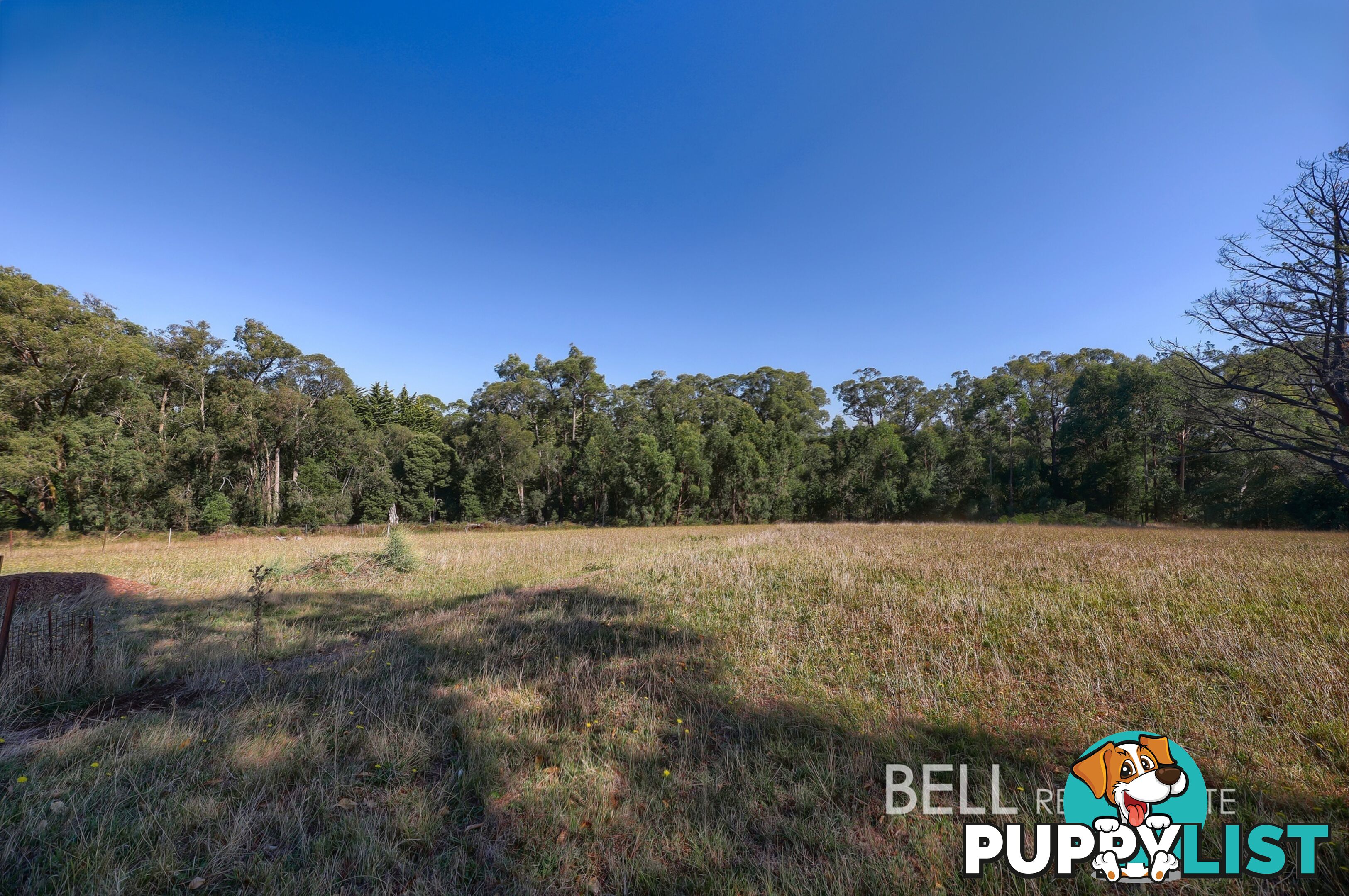 31 Avon Road AVONSLEIGH VIC 3782