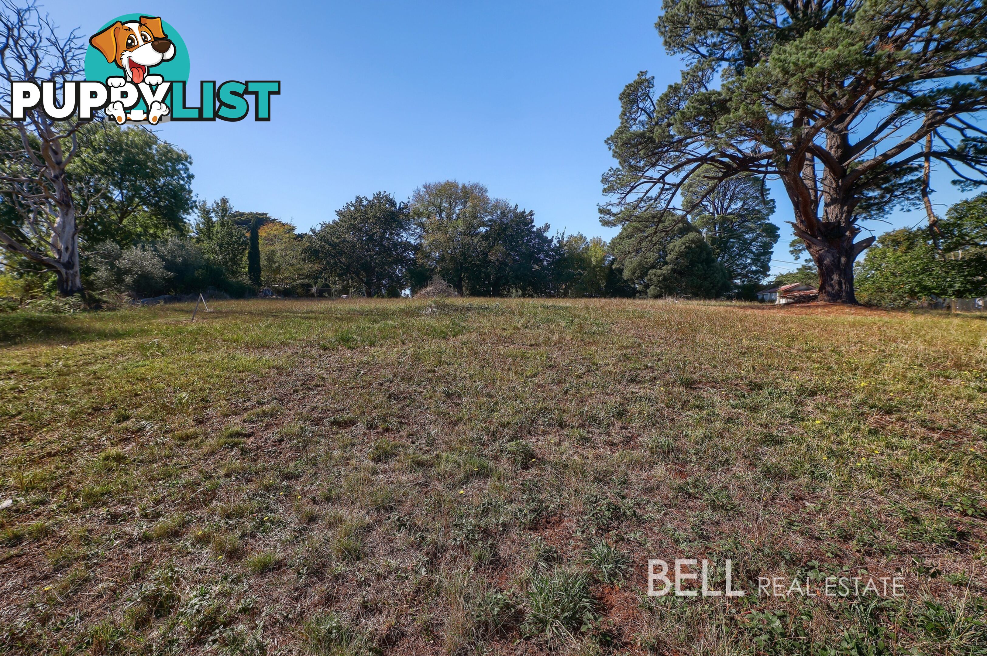31 Avon Road AVONSLEIGH VIC 3782