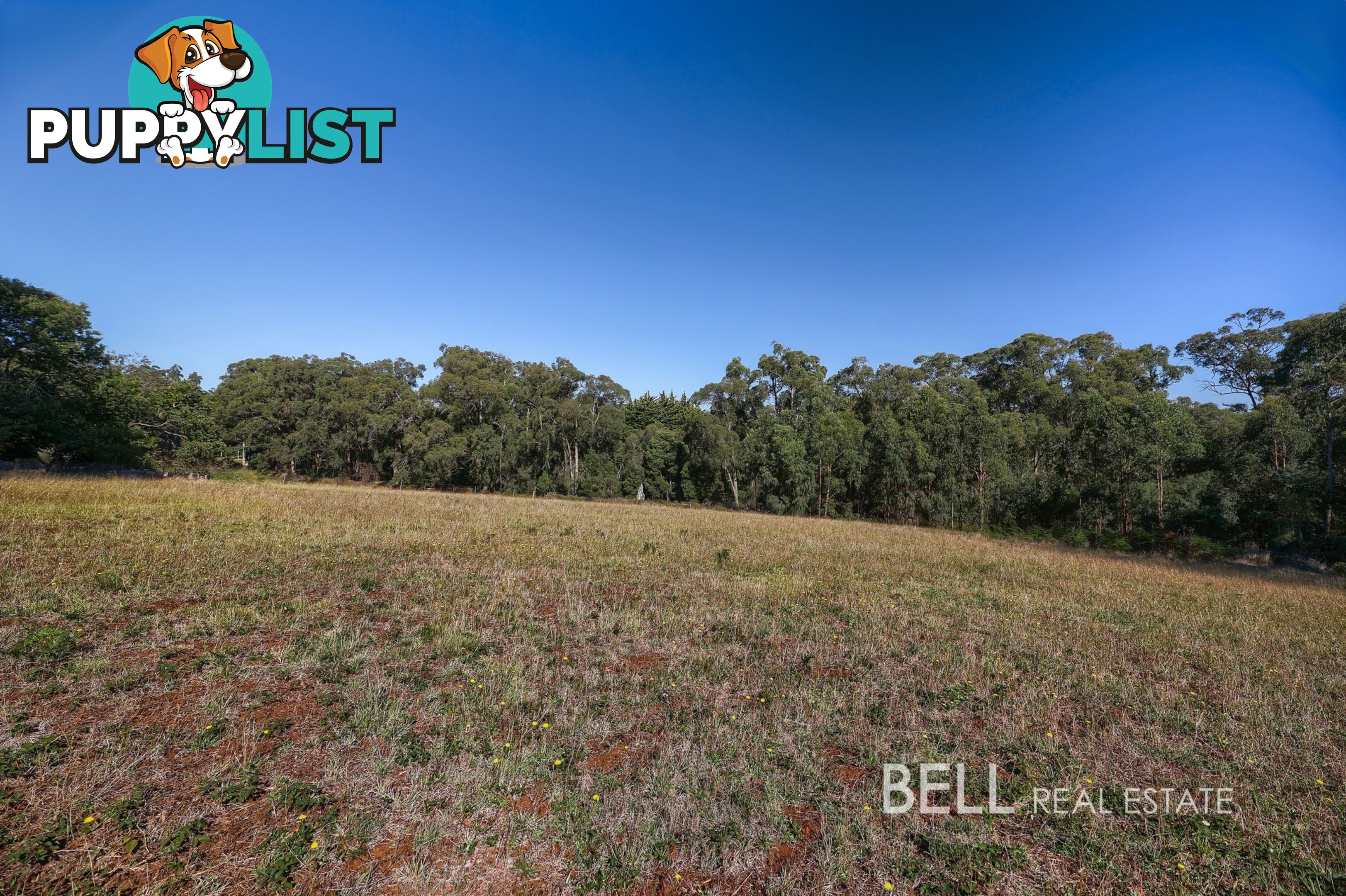 31 Avon Road AVONSLEIGH VIC 3782