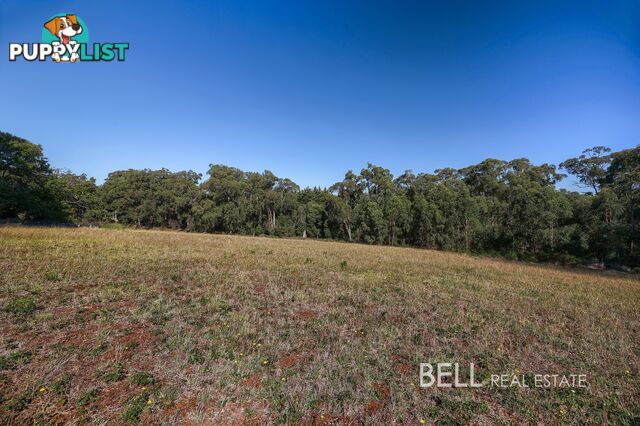 31 Avon Road AVONSLEIGH VIC 3782
