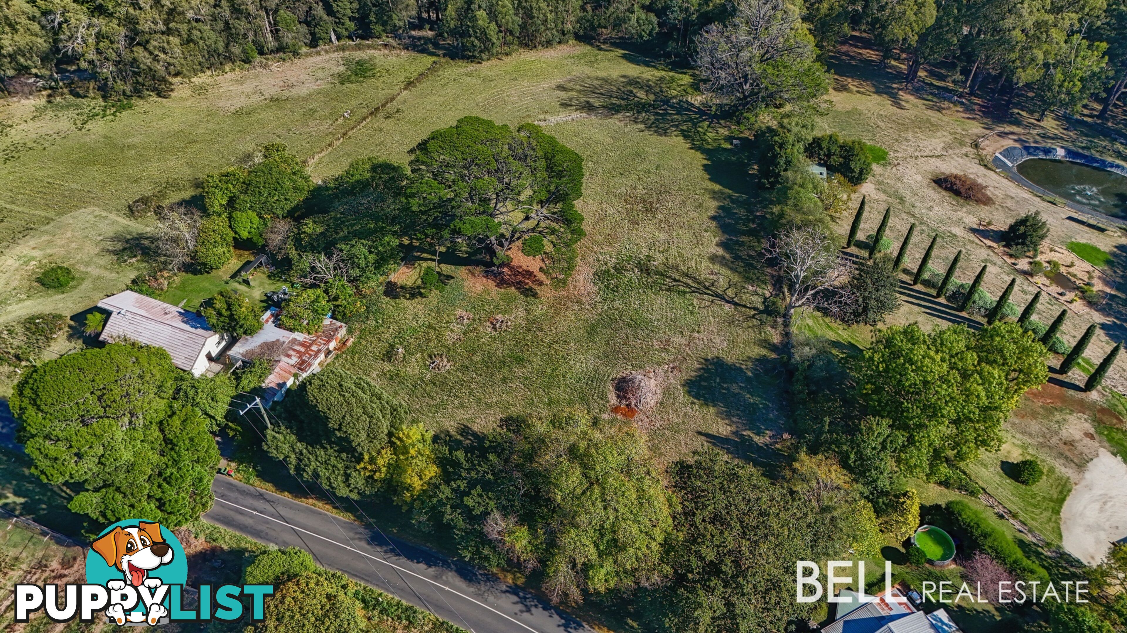31 Avon Road AVONSLEIGH VIC 3782