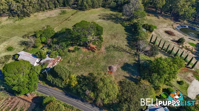 31 Avon Road AVONSLEIGH VIC 3782