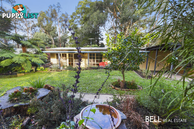 14 Dunstan Road AVONSLEIGH VIC 3782