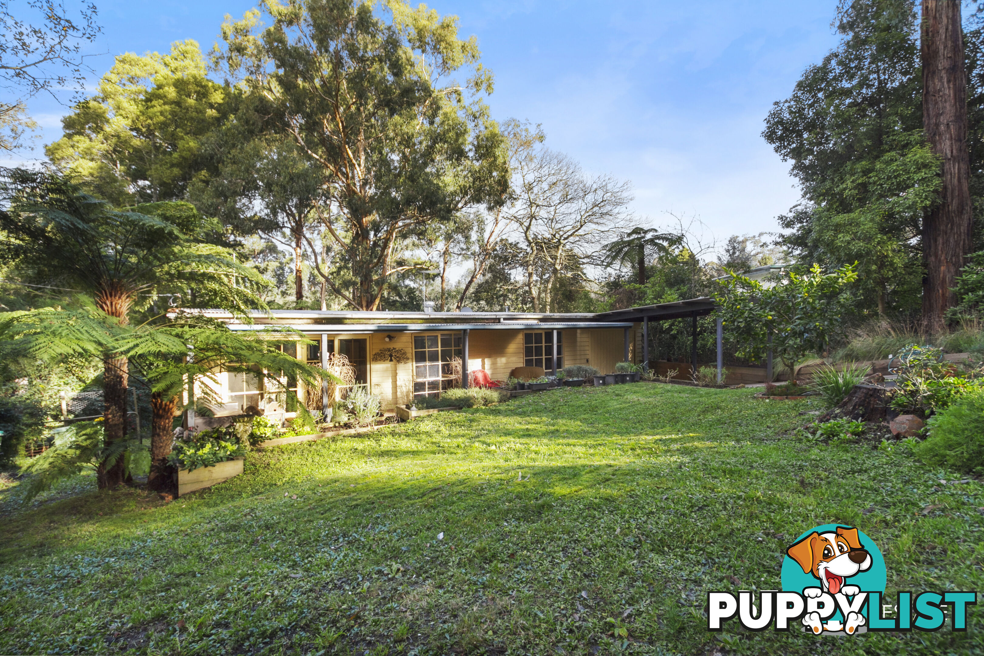 14 Dunstan Road AVONSLEIGH VIC 3782