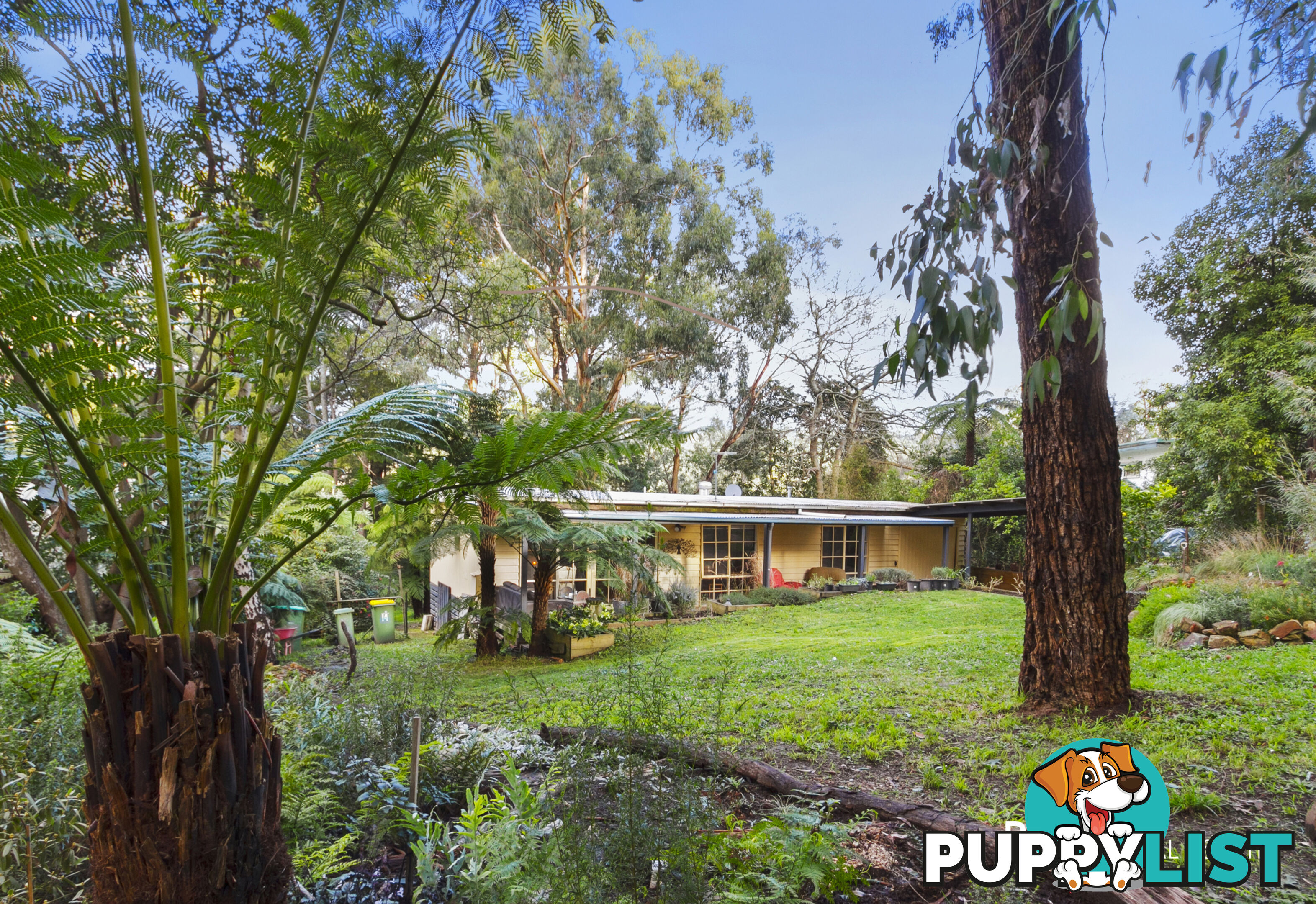 14 Dunstan Road AVONSLEIGH VIC 3782