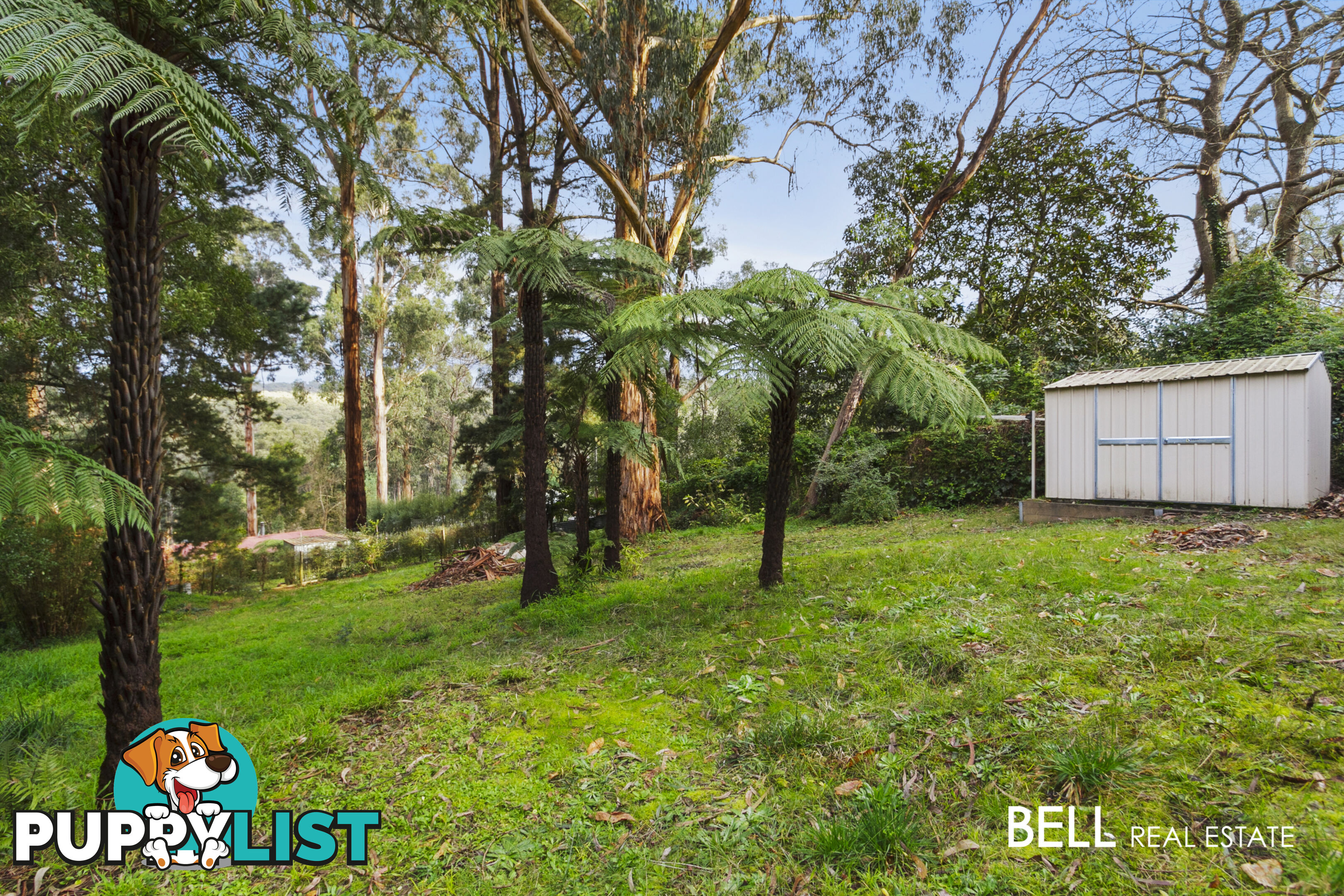 14 Dunstan Road AVONSLEIGH VIC 3782