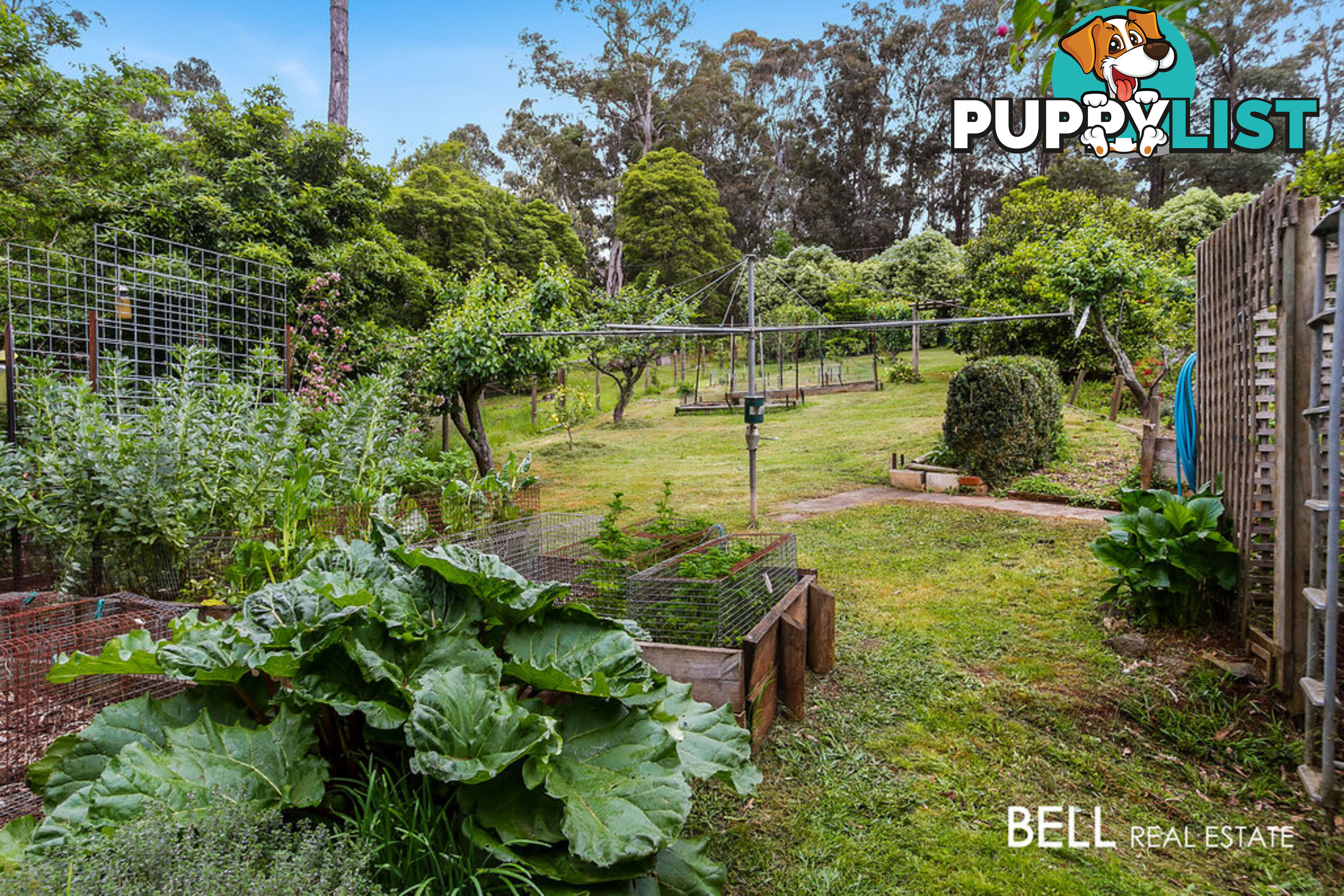 411 Belgrave-Gembrook Road EMERALD VIC 3782