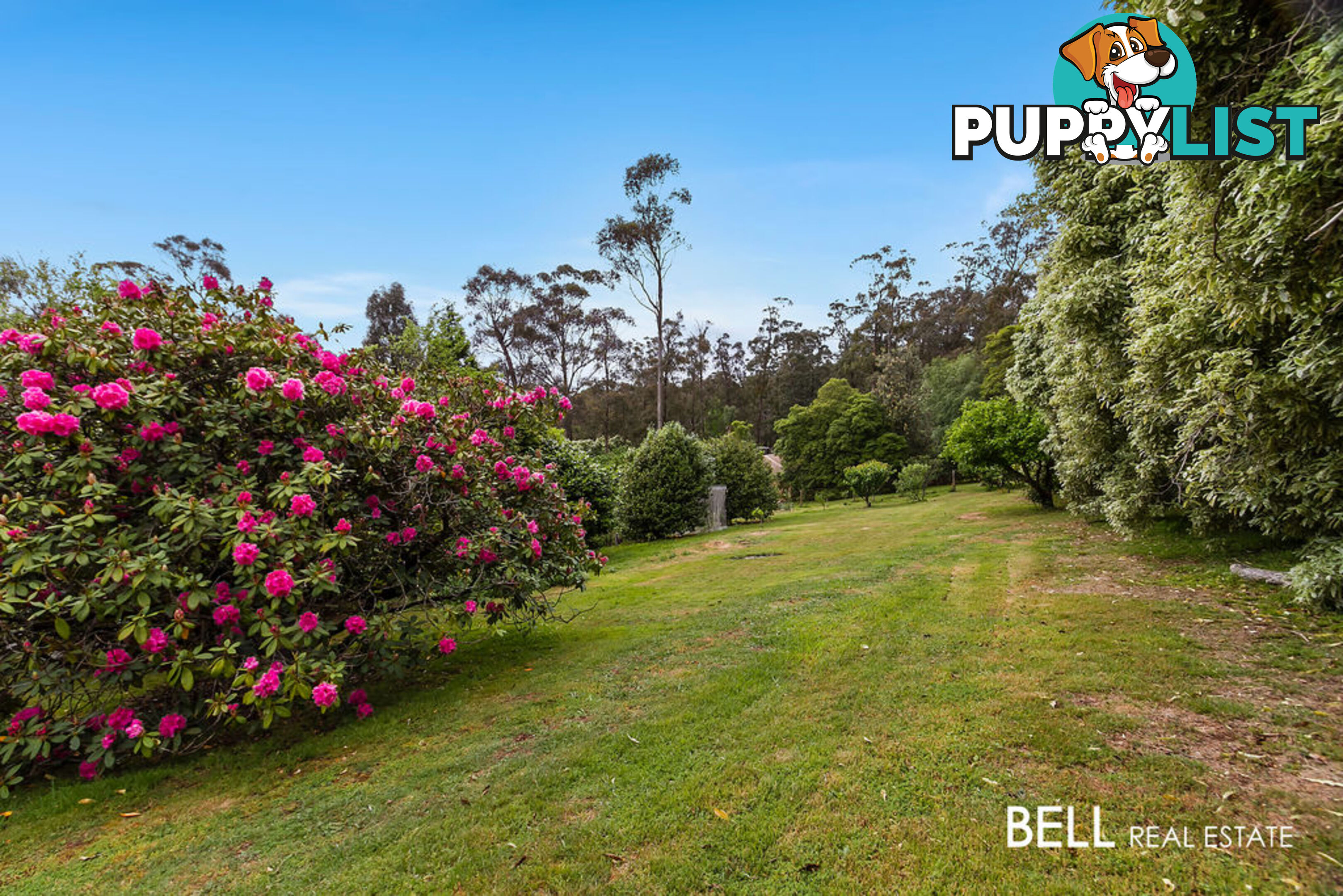 411 Belgrave-Gembrook Road EMERALD VIC 3782