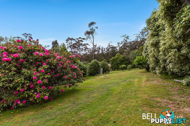 411 Belgrave-Gembrook Road EMERALD VIC 3782