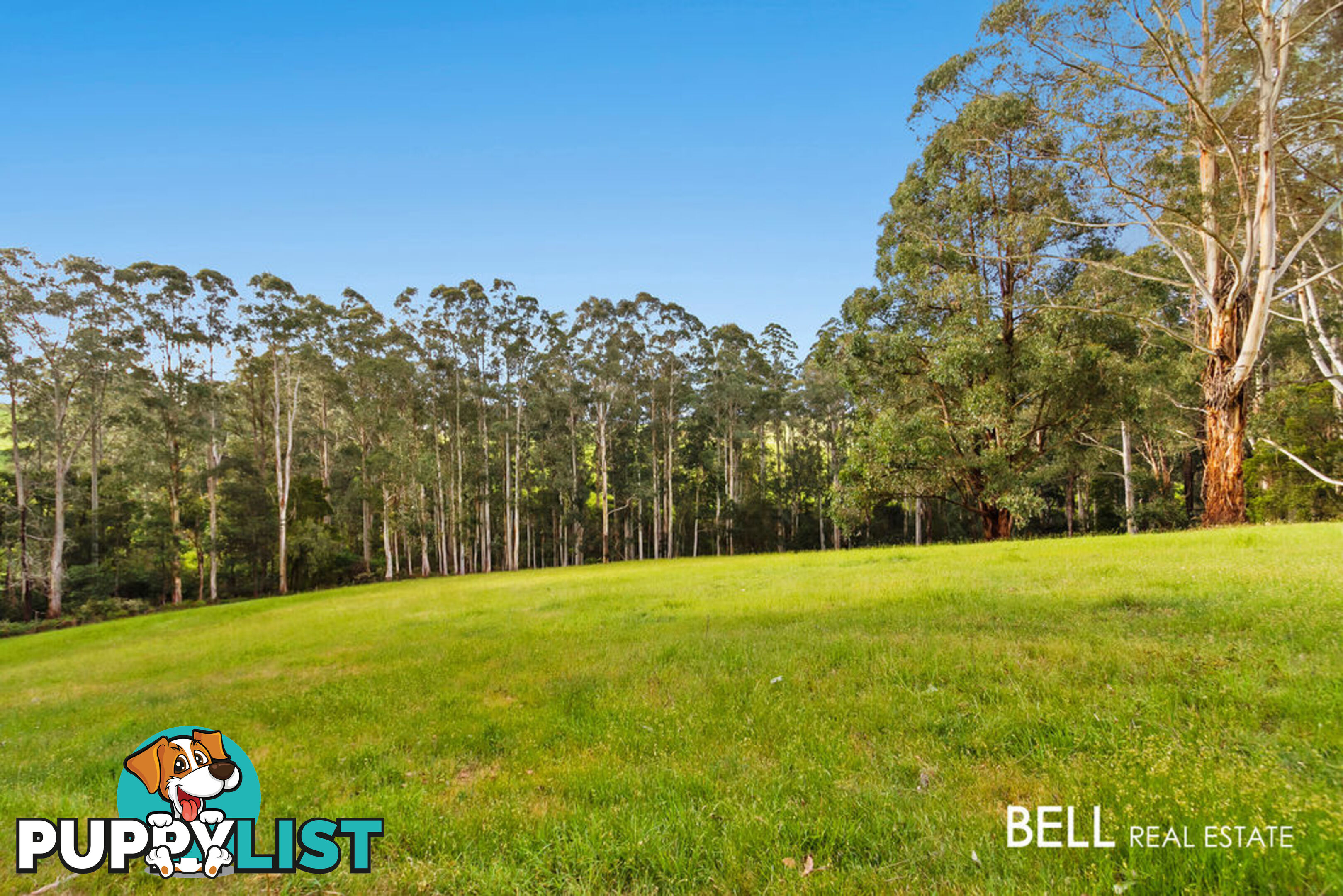 245 Beenak Road GEMBROOK VIC 3783