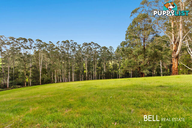 245 Beenak Road GEMBROOK VIC 3783