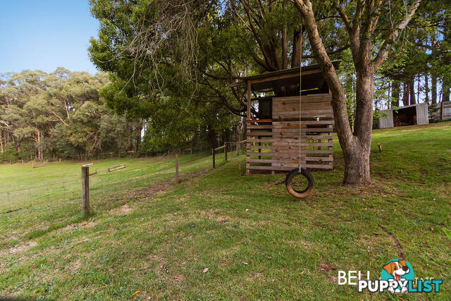 245 Beenak Road GEMBROOK VIC 3783