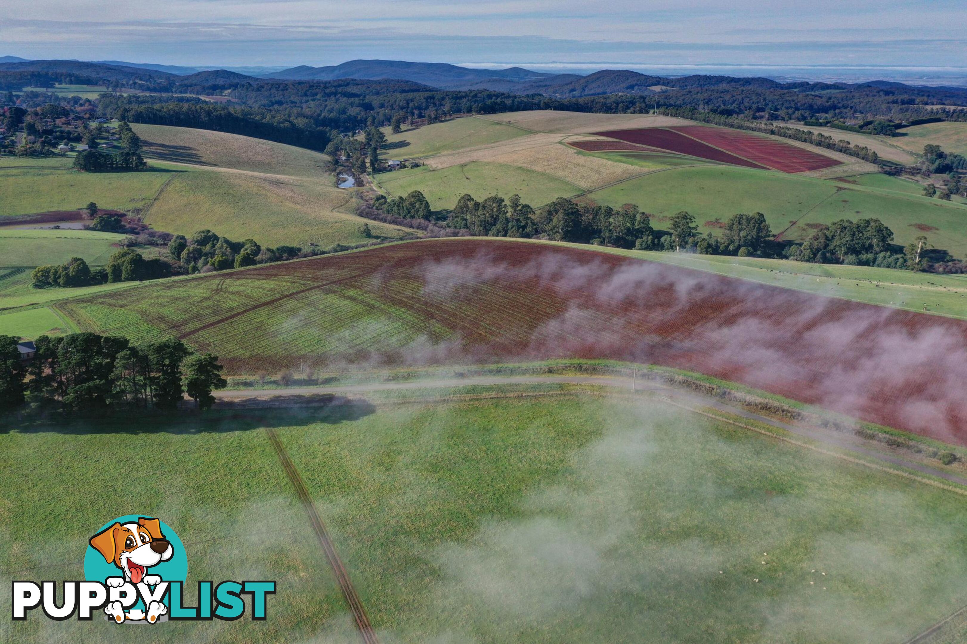 Lot 1 Orchard Road GEMBROOK VIC 3783