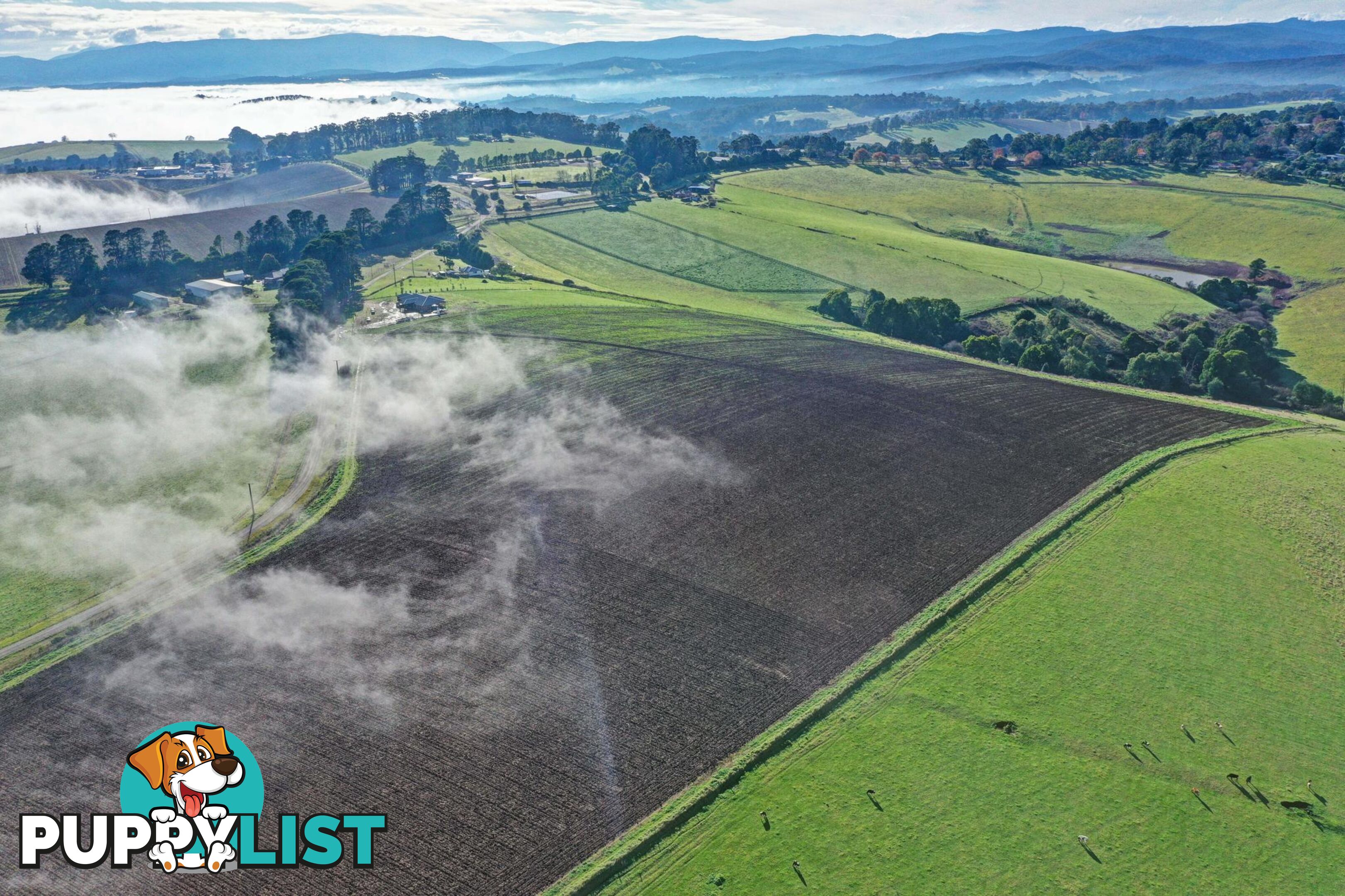 Lot 1 Orchard Road GEMBROOK VIC 3783