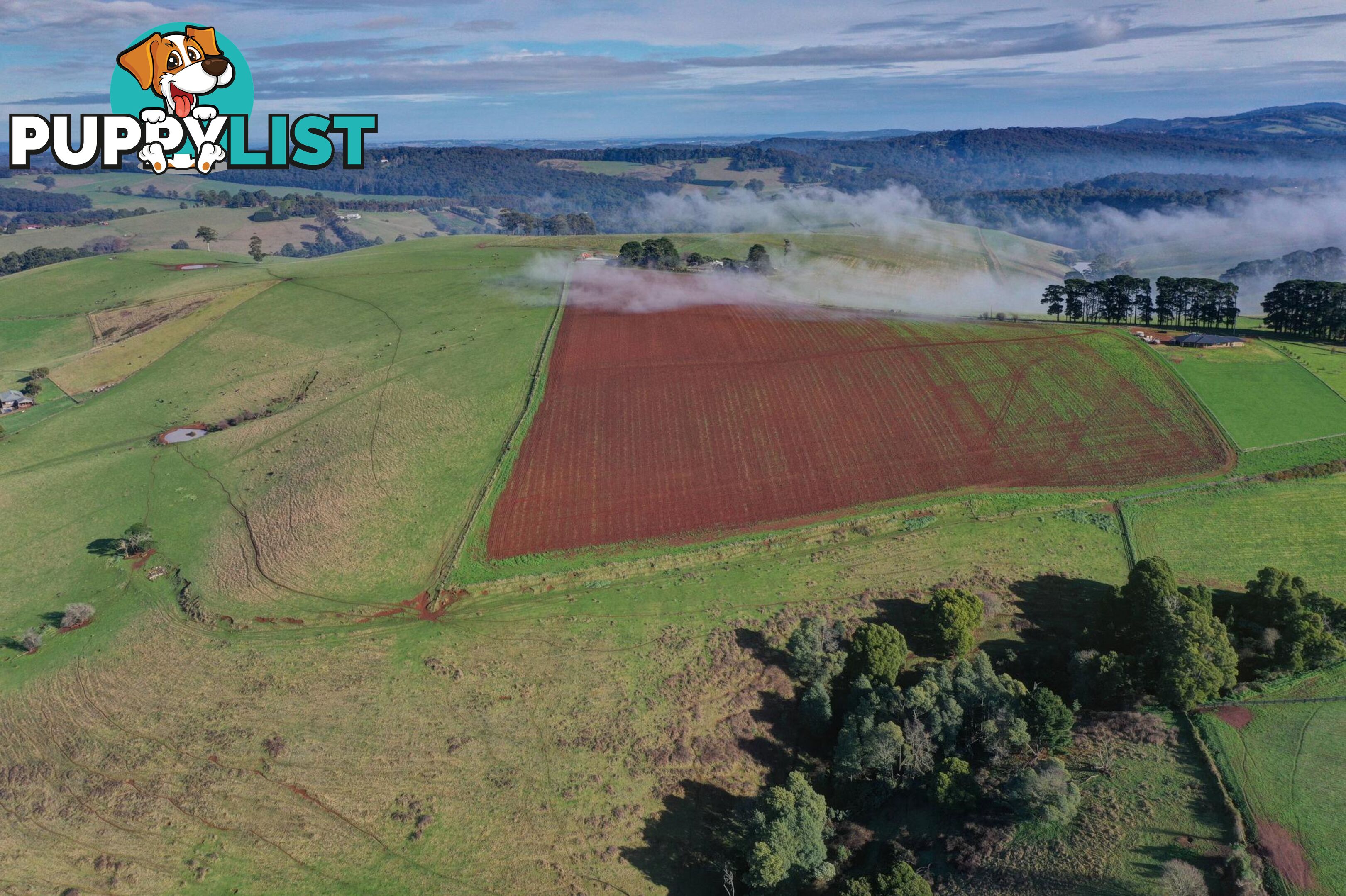 Lot 1 Orchard Road GEMBROOK VIC 3783