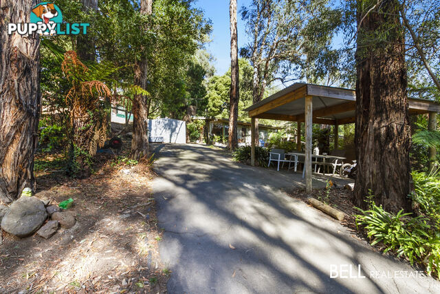 21 Naughton Street COCKATOO VIC 3781