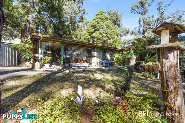 21 Naughton Street COCKATOO VIC 3781