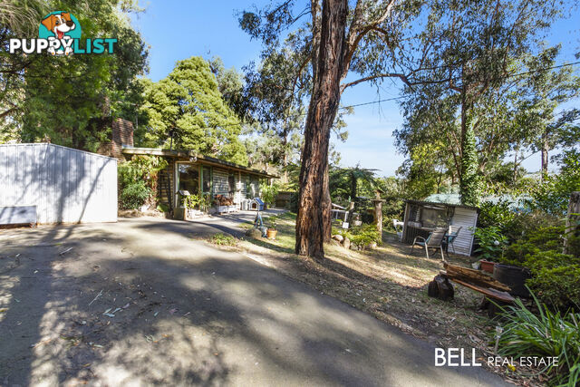 21 Naughton Street COCKATOO VIC 3781