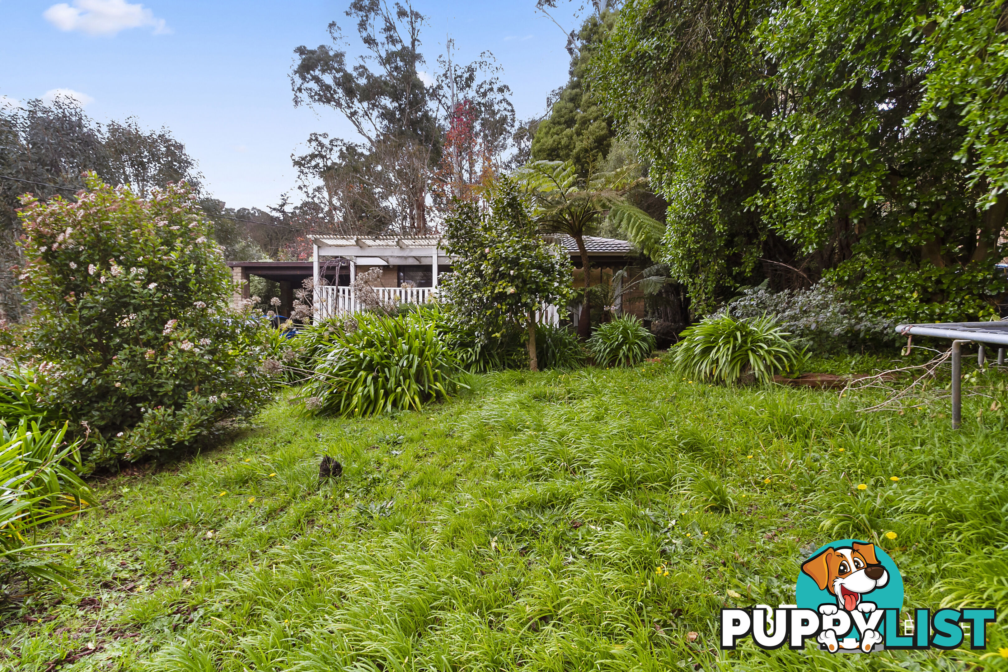 35 Charman Avenue EMERALD VIC 3782