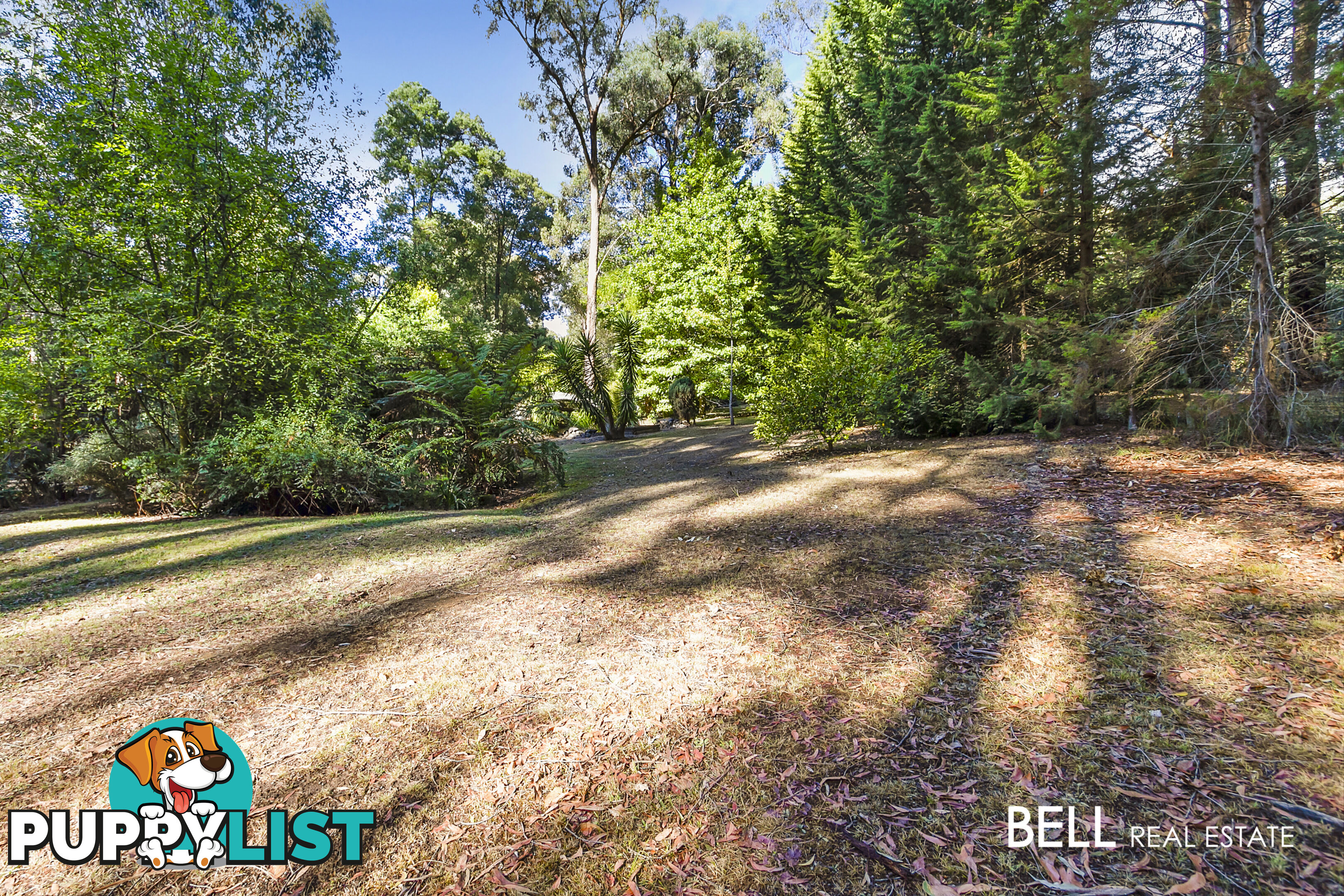 101 Emerald Monbulk Road EMERALD VIC 3782