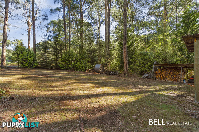 101 Emerald Monbulk Road EMERALD VIC 3782