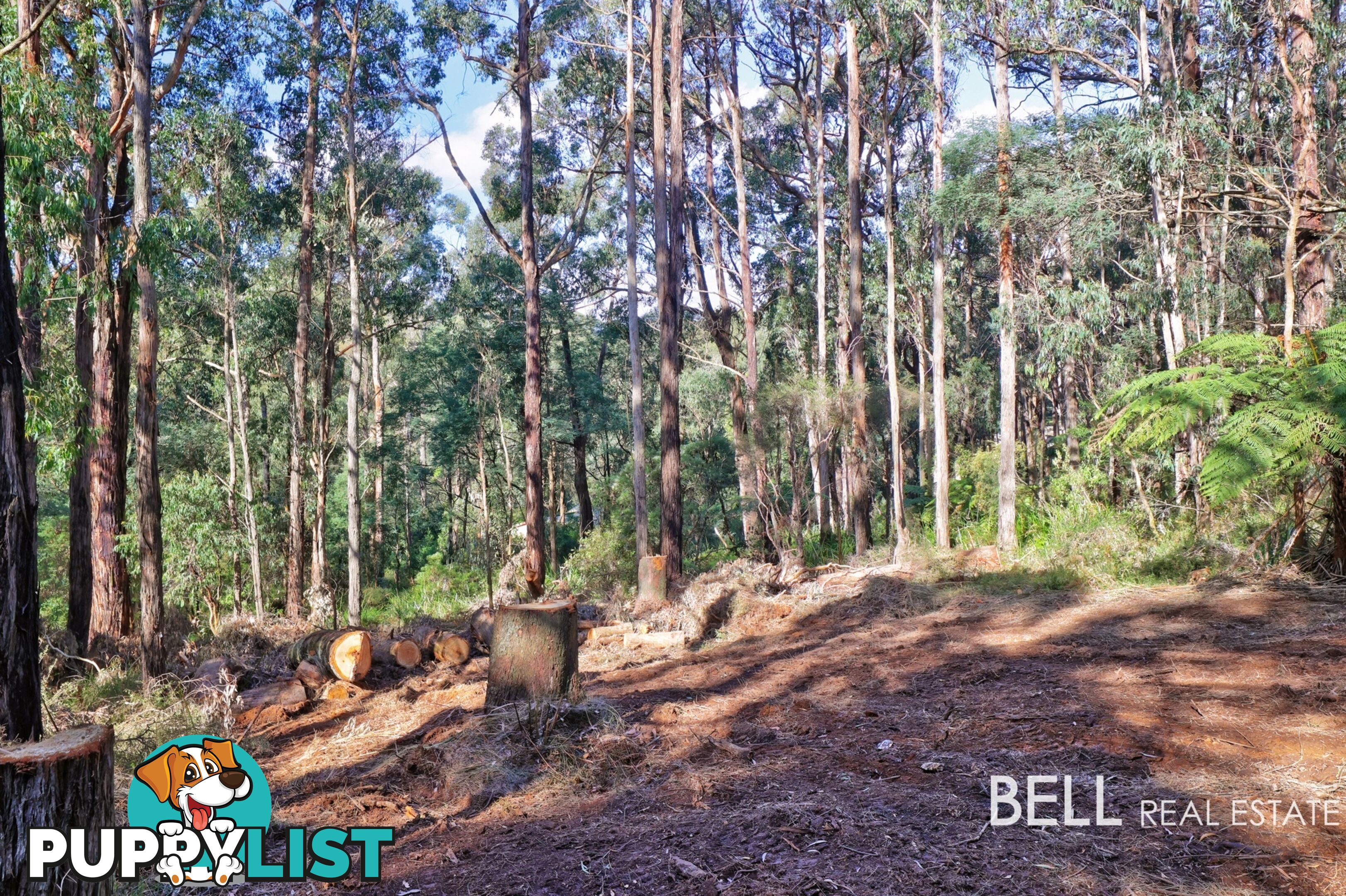 89 Bellbird Crescent EMERALD VIC 3782