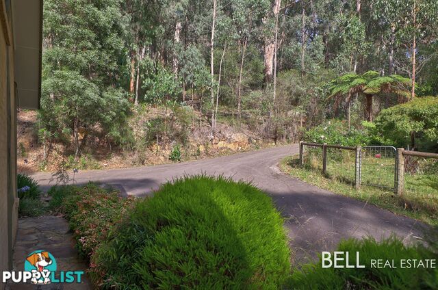 305 Gembrook Tonimbuk Road GEMBROOK VIC 3783