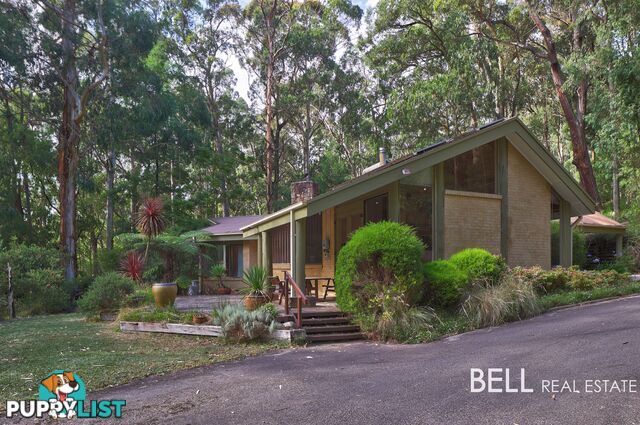 305 Gembrook Tonimbuk Road GEMBROOK VIC 3783