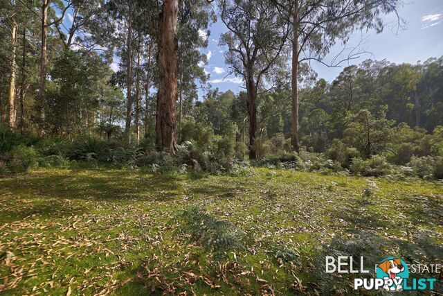 305 Gembrook Tonimbuk Road GEMBROOK VIC 3783