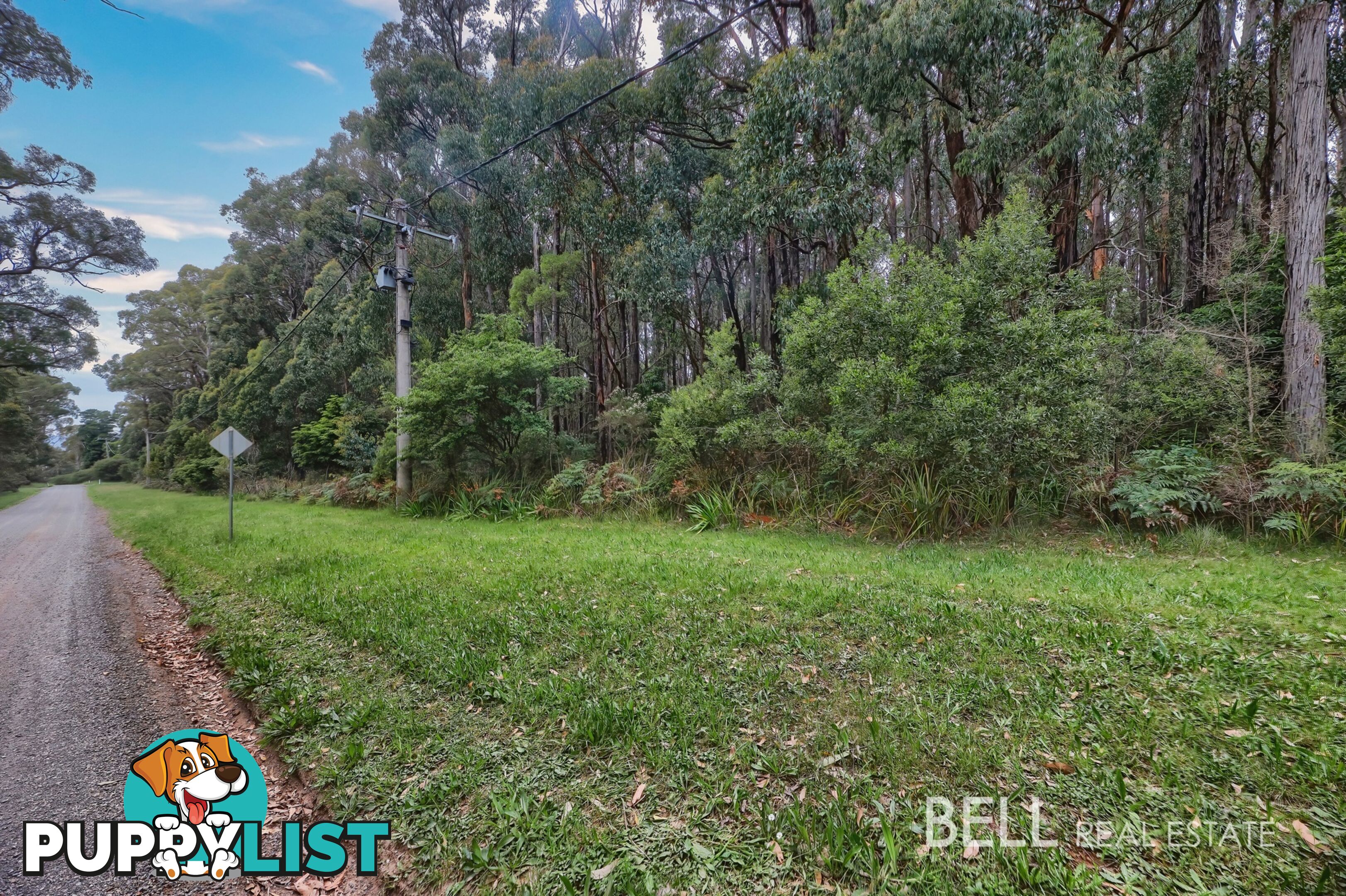 16 Coulson Road MONBULK VIC 3793