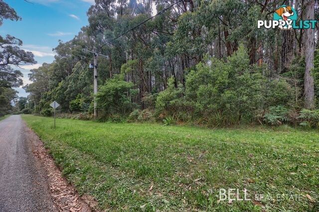 16 Coulson Road MONBULK VIC 3793