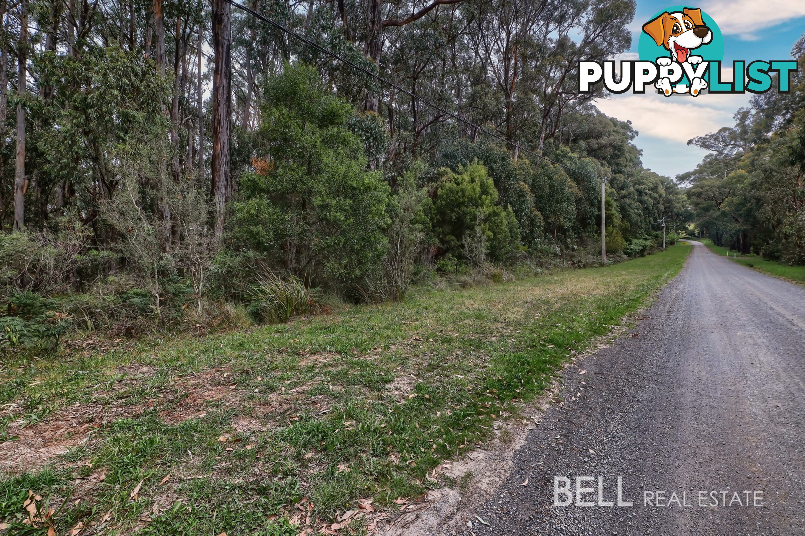 16 Coulson Road MONBULK VIC 3793