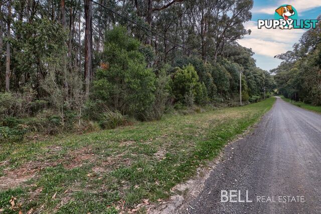 16 Coulson Road MONBULK VIC 3793