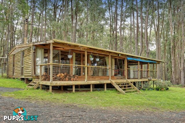 172 Beenak East Road GEMBROOK VIC 3783