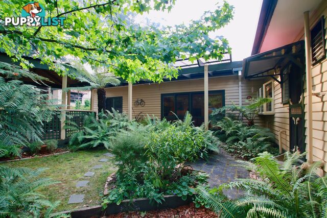 156 Emerald Monbulk Road EMERALD VIC 3782