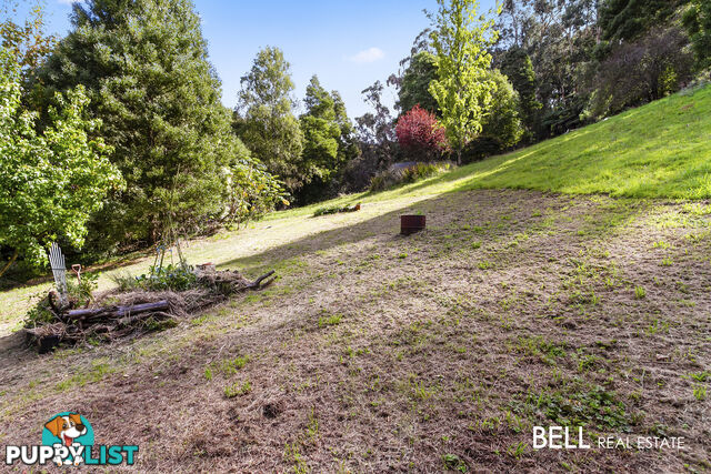 29 Selby Aura Road MENZIES CREEK VIC 3159