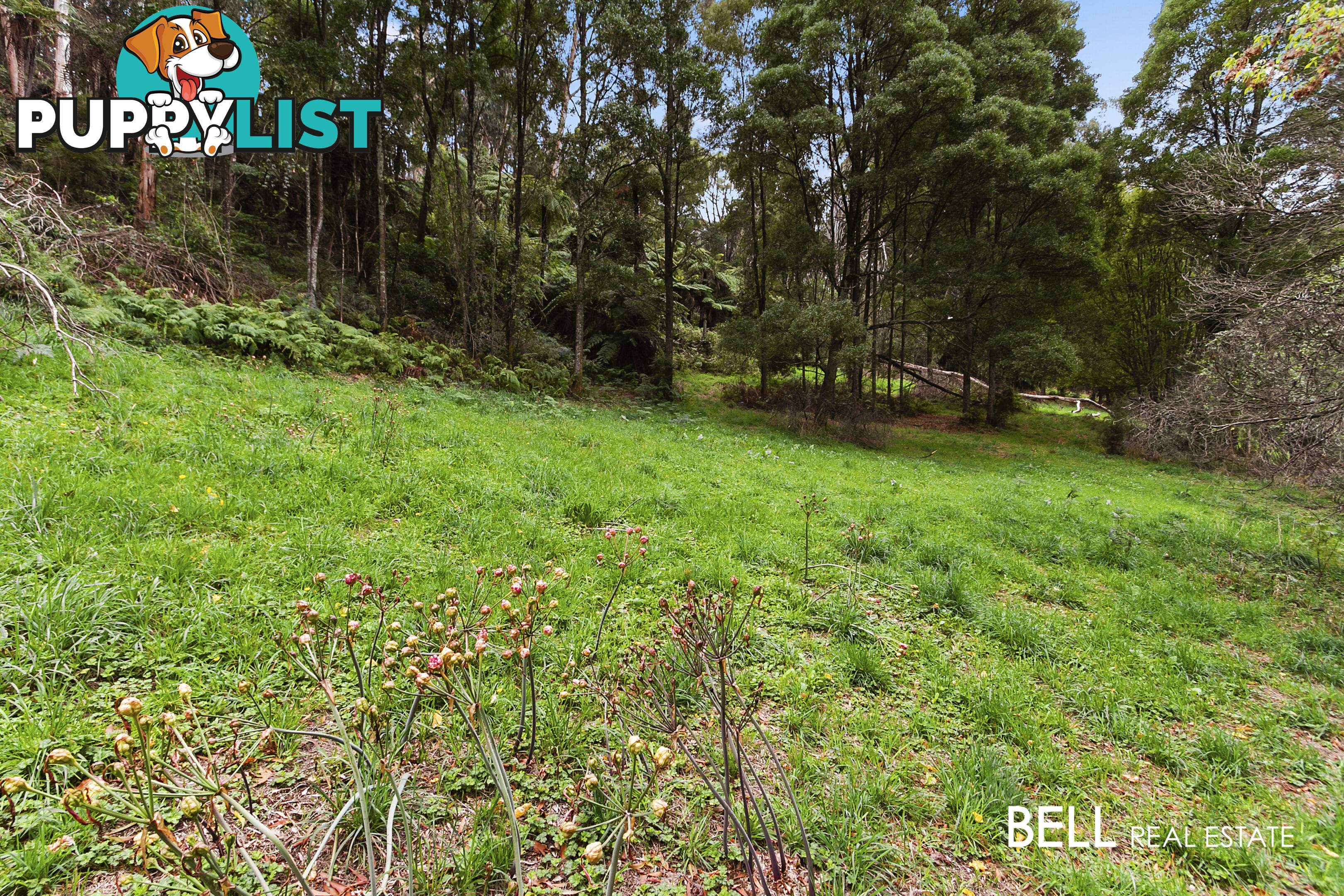 29 Selby Aura Road MENZIES CREEK VIC 3159