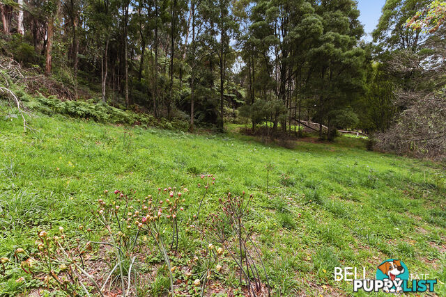 29 Selby Aura Road MENZIES CREEK VIC 3159