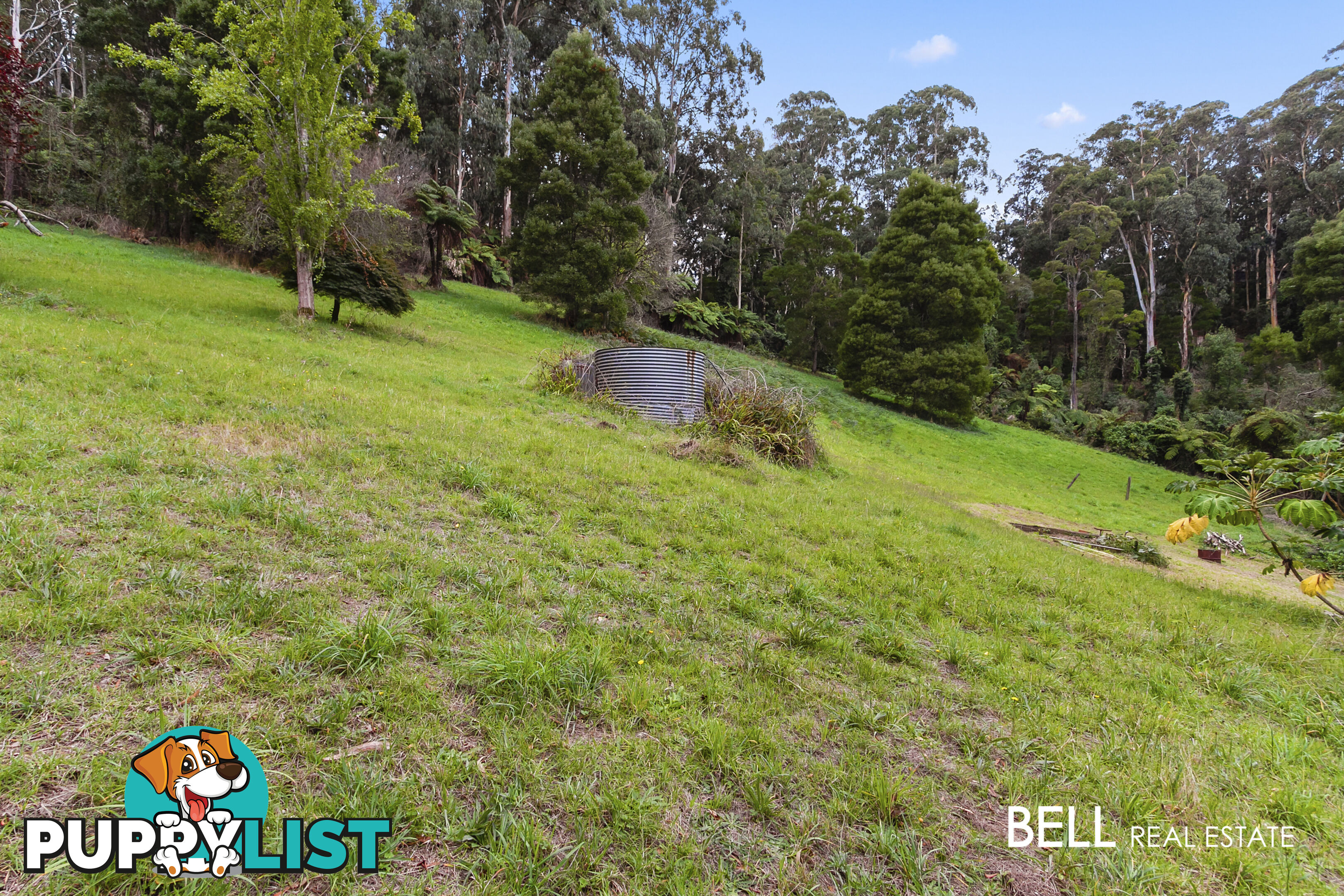 29 Selby Aura Road MENZIES CREEK VIC 3159