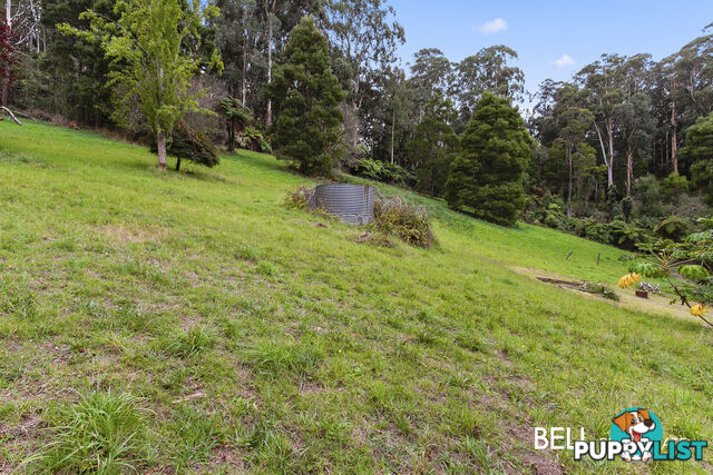 29 Selby Aura Road MENZIES CREEK VIC 3159