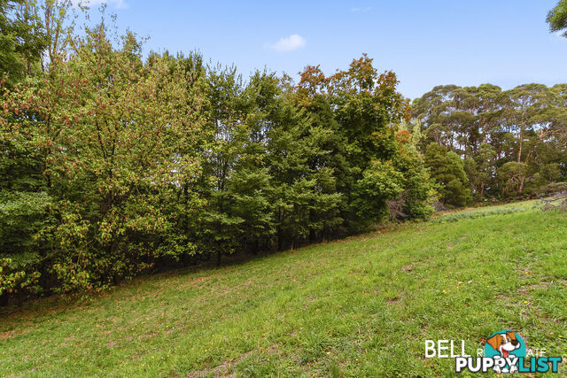 29 Selby Aura Road MENZIES CREEK VIC 3159