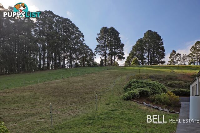 100 Gembrook Tonimbuk Road GEMBROOK VIC 3783