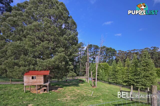 100 Gembrook Tonimbuk Road GEMBROOK VIC 3783