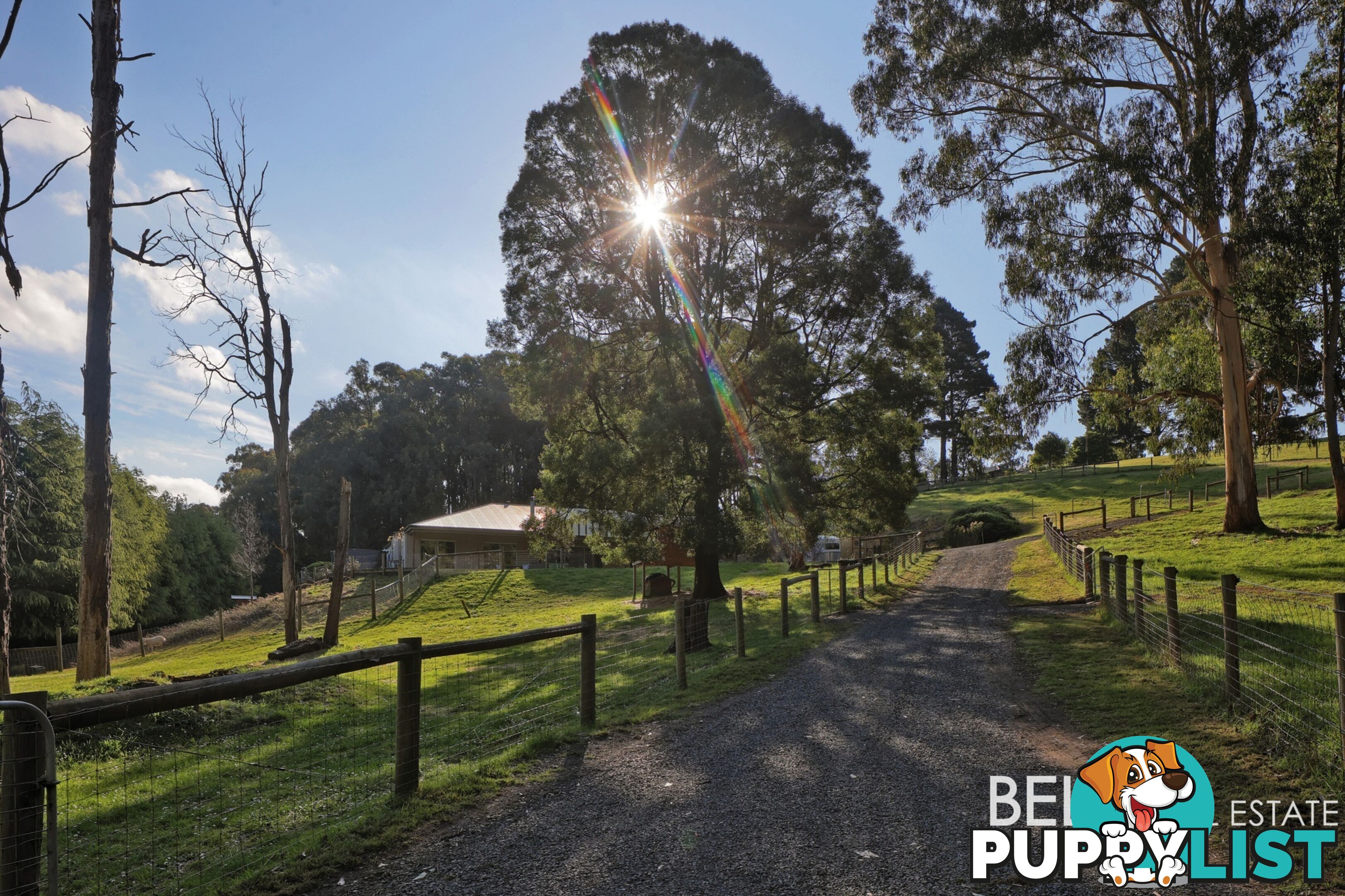 100 Gembrook Tonimbuk Road GEMBROOK VIC 3783