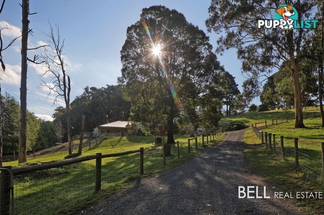 100 Gembrook Tonimbuk Road GEMBROOK VIC 3783