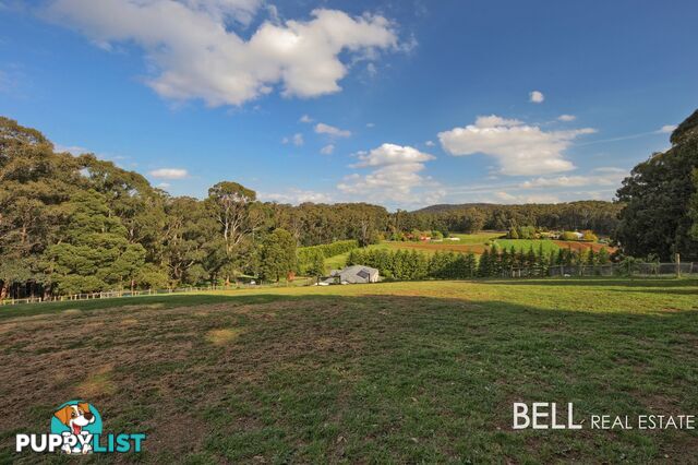 100 Gembrook Tonimbuk Road GEMBROOK VIC 3783