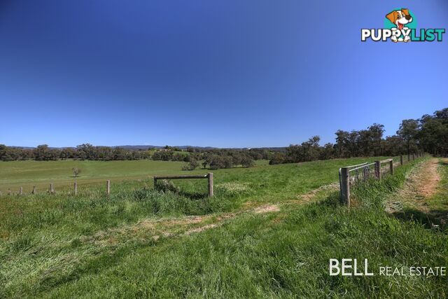 2215a Healesville - Koo Wee Rup Road YELLINGBO VIC 3139