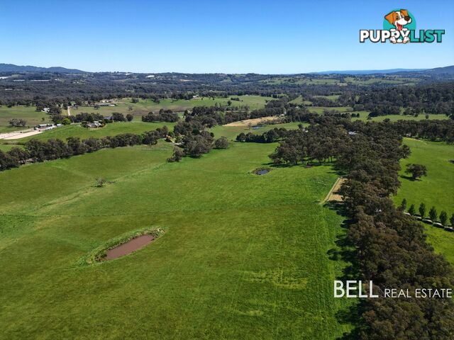 2215a Healesville - Koo Wee Rup Road YELLINGBO VIC 3139